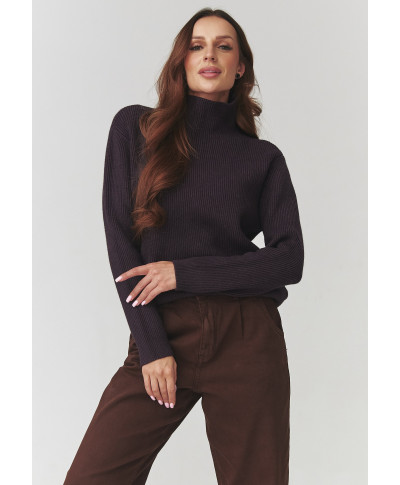 Stylowy megztinis moteriskas su golfu oberżyna C20