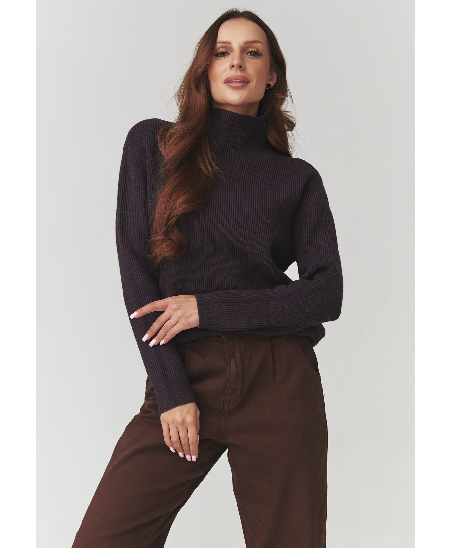 Stilīgs sieviešu džemperis ar augstu apkakli baklažānu krāsā C20
