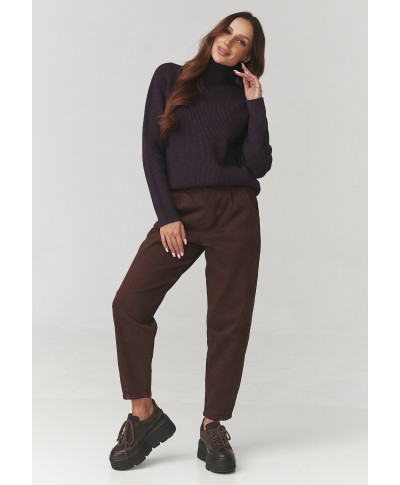 Stilingas moteriškas megztinis su golfu baklažano spalvos C20